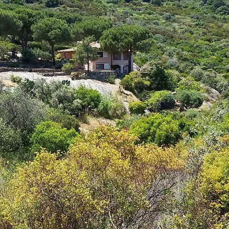 Villa Laura Aegilium